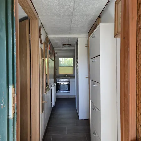 Eichhoernchen * Dankerode (Saxony-Anhalt)