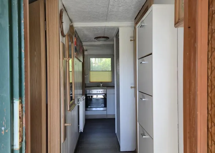 Eichhoernchen * Dankerode (Saxony-Anhalt)